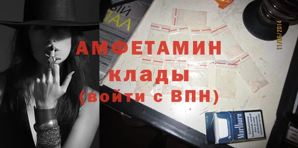 индика Алексеевка