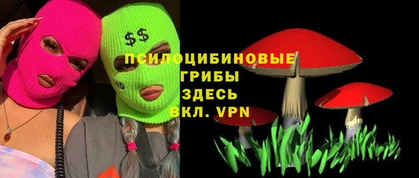 мяу мяу мука Алзамай