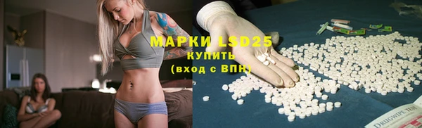 мяу мяу мука Алзамай