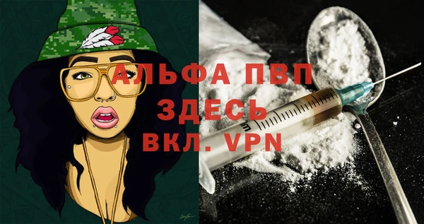 индика Алексеевка