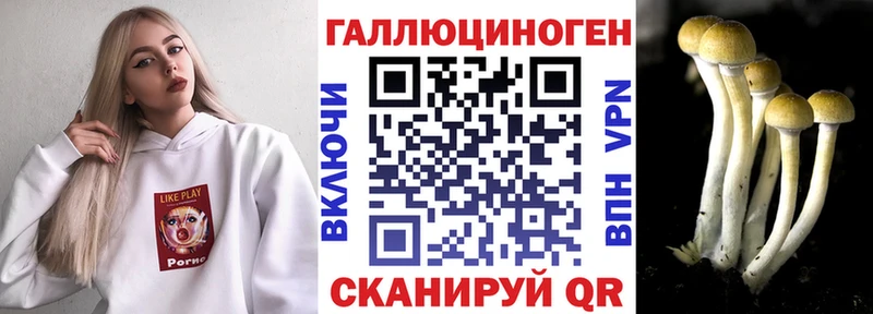 MEGA ONION  Сольвычегодск  Псилоцибиновые грибы GOLDEN TEACHER 